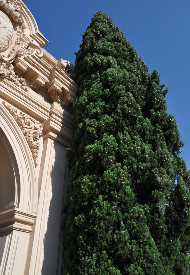SelecTree: A Tree Selection Guide
