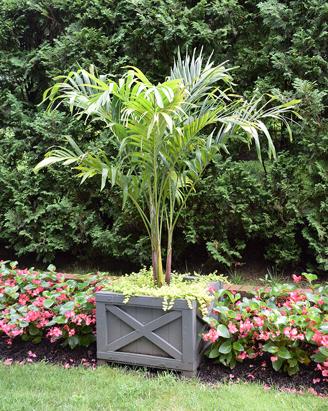 Emilda Tree SelecTree: A Tree Selection Guide